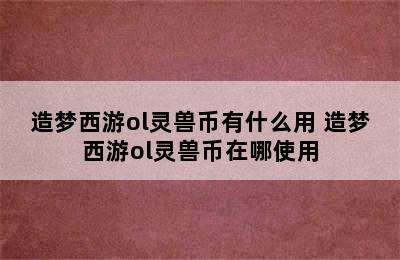 造梦西游ol灵兽币有什么用 造梦西游ol灵兽币在哪使用